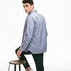 Camisa Hombre Lacoste